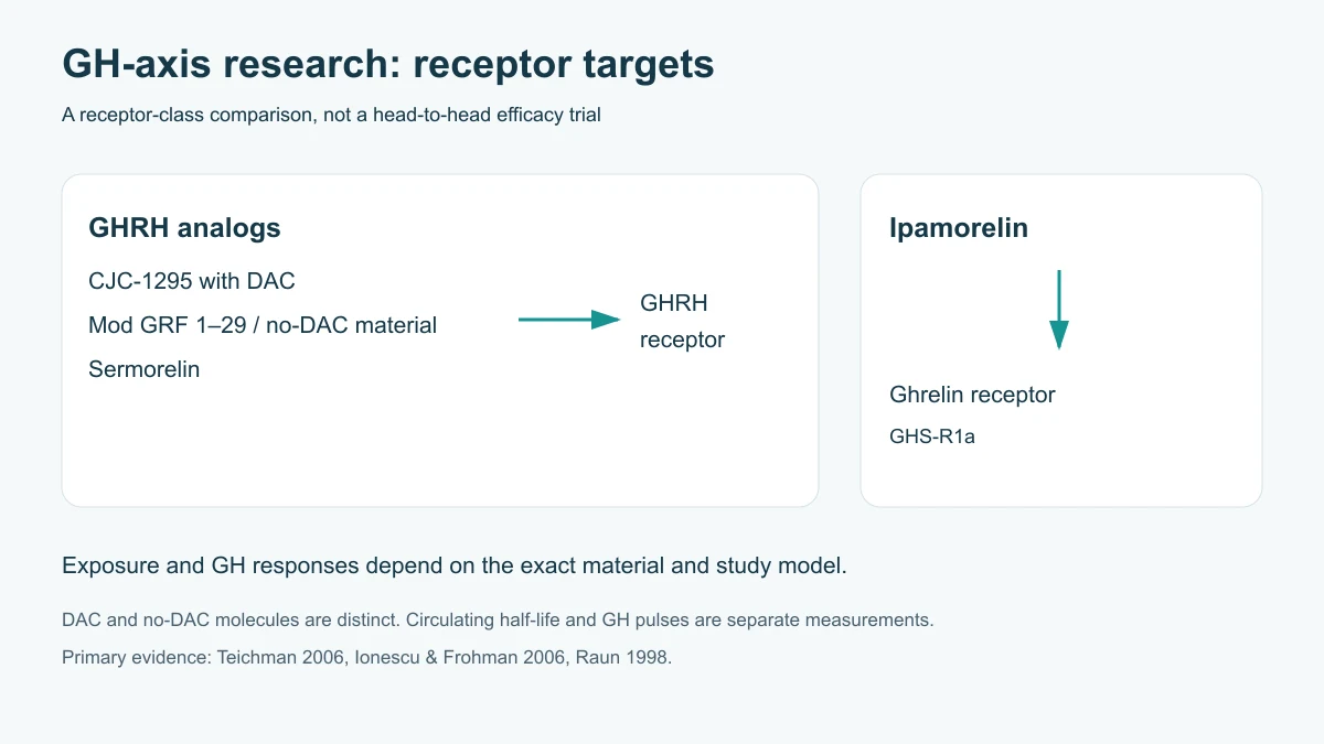 GHRH analogs act at the GHRH receptor; ipamorelin belongs to the ghrelin-receptor agonist class