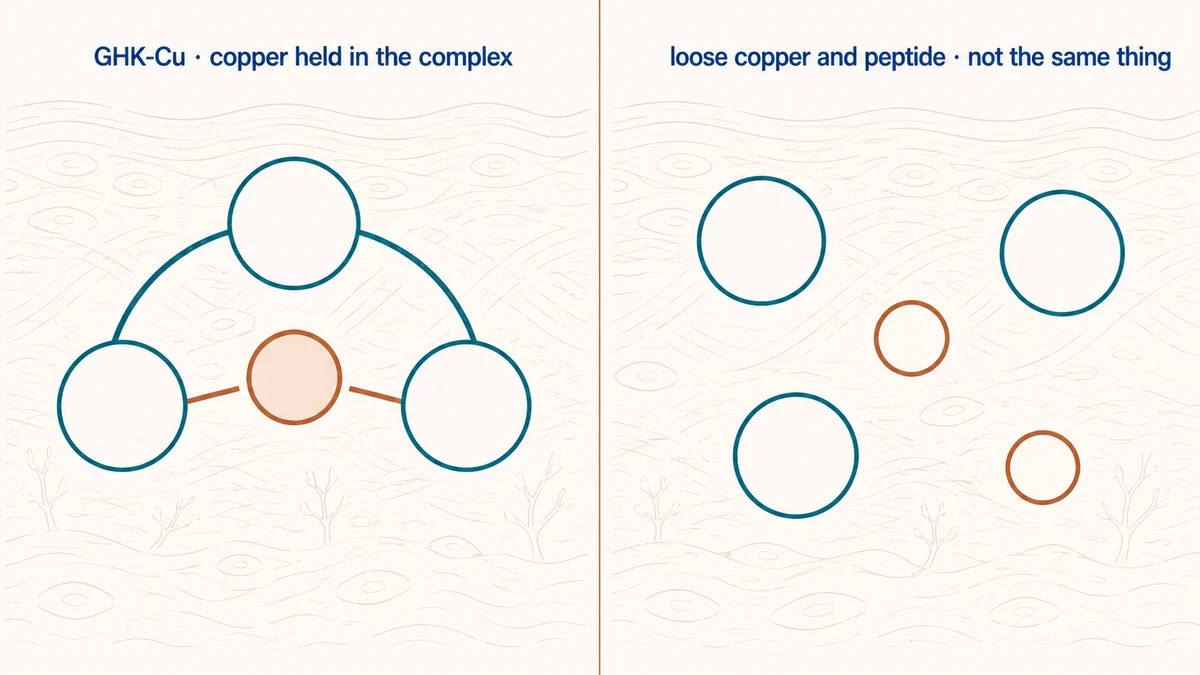 GHK-Cu vs Copper Peptide Complex